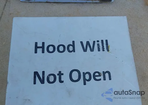 2009 Honda Civic Lx from USA, damaged, VIN 19XFA16549E026265